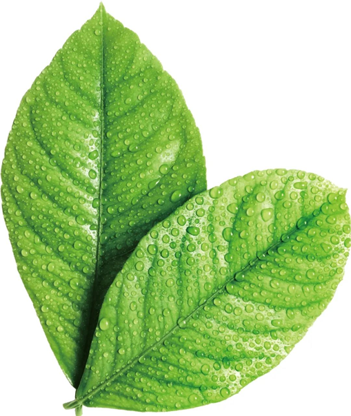 1604545658908145.png image.png