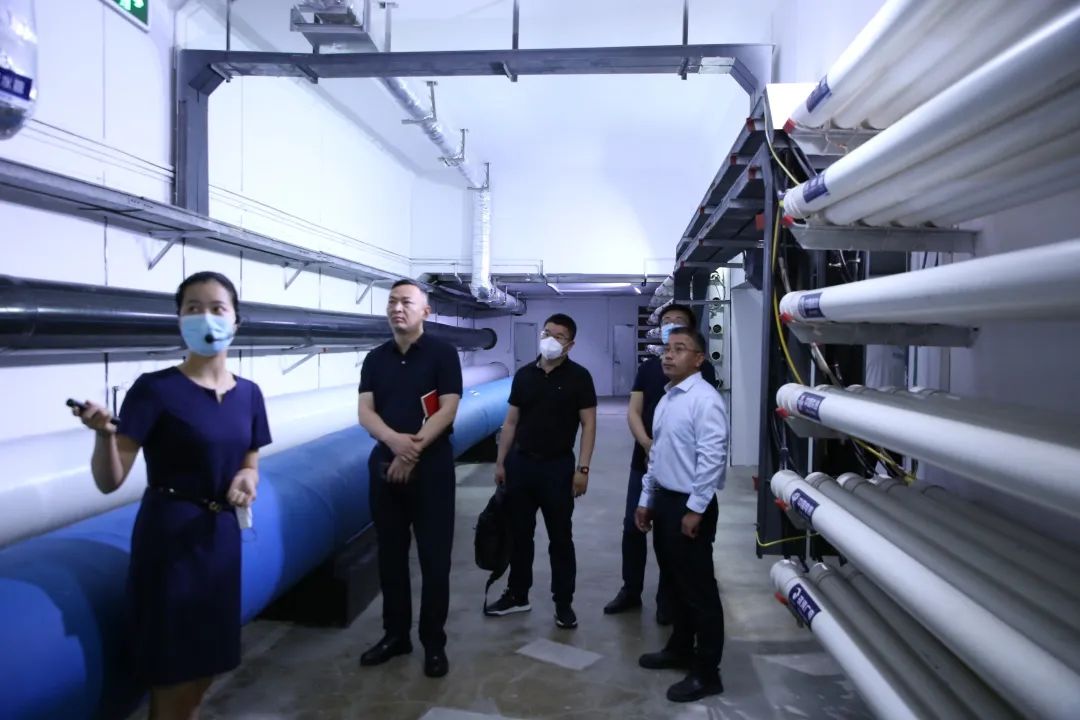 1654826579214344.jpg 1654826579214344.jpg