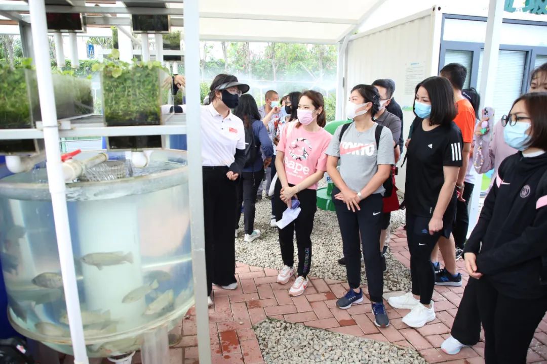 1687233137147817.jpg 14.jpg