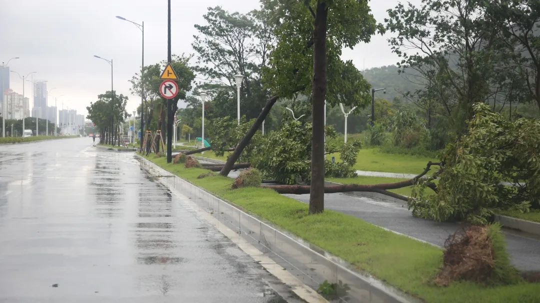 1693815768661254.jpg 1.jpg