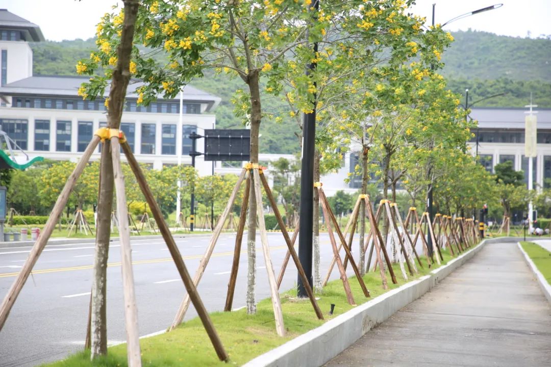 1693991250340303.jpg 3.jpg