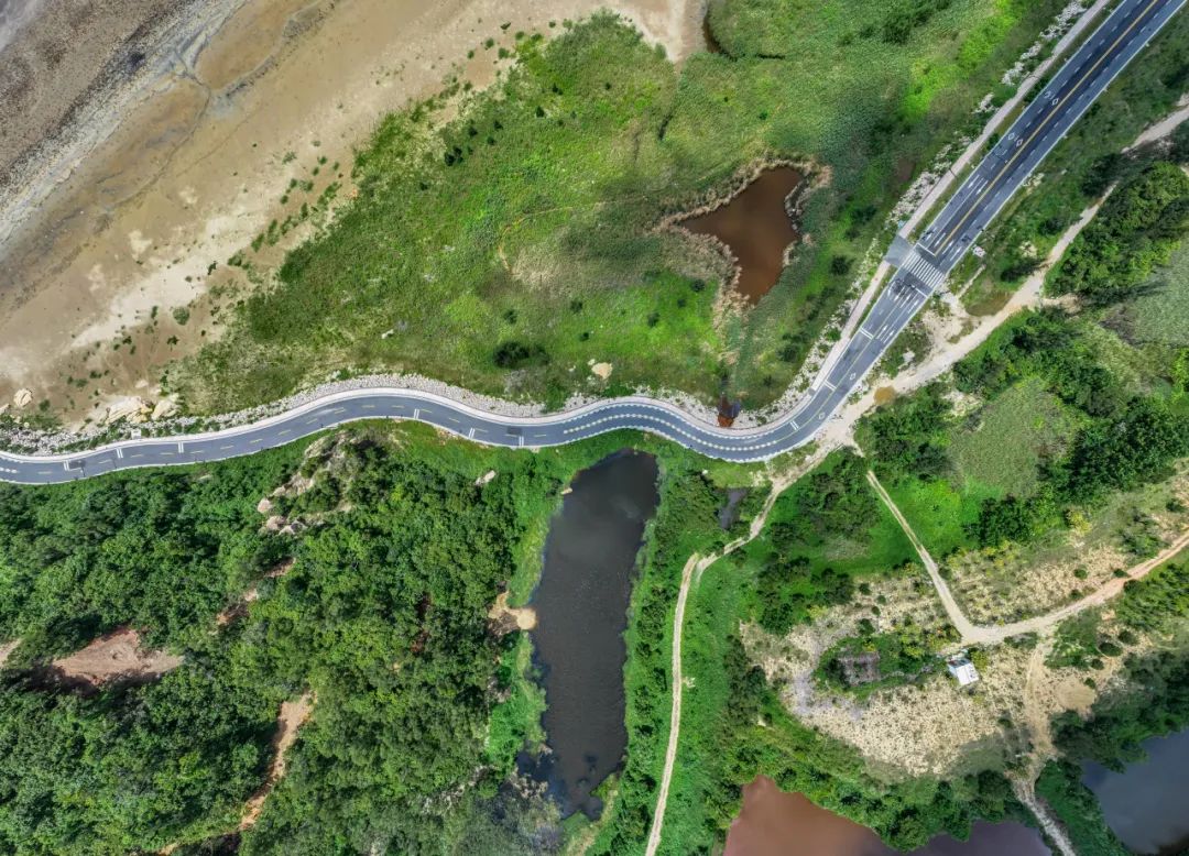 1697978459964923.jpg 14.jpg