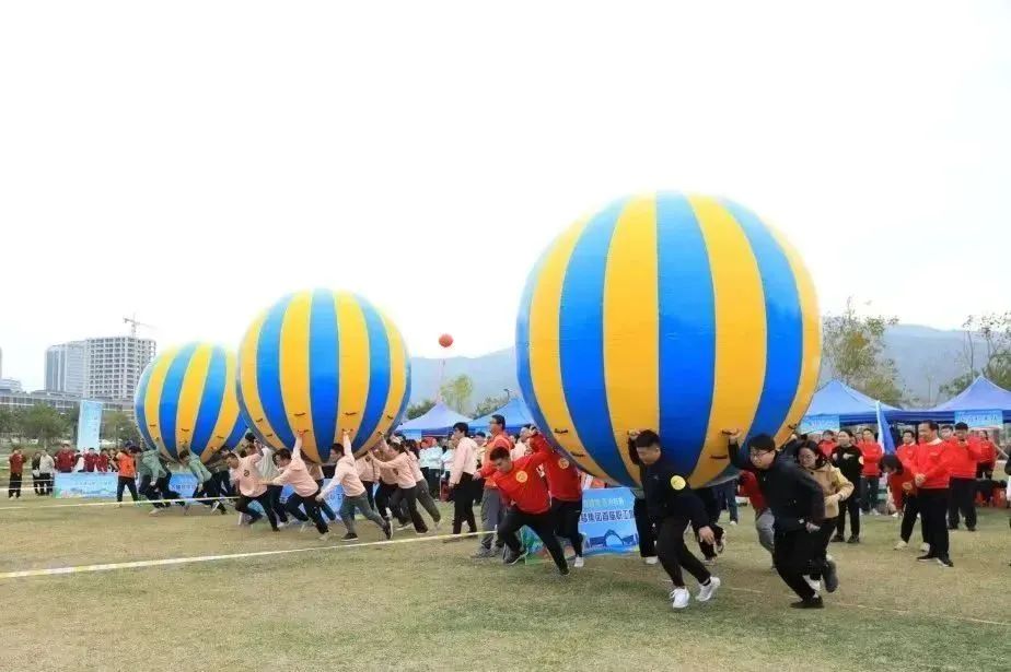 1706601392595692.jpg 2.jpg